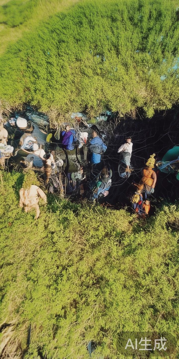 乐鱼体育国际：打造多元化体育娱乐平台引领全球体育新体验之路